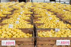 考题内容来南省市场监管局研发的“豫食查核A